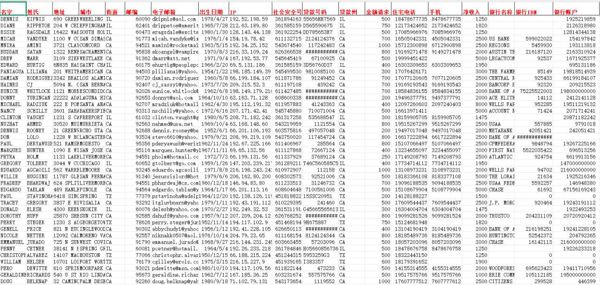美国银行贷款带SSN社会保障号-9.3万