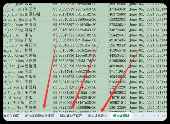 新加坡 目录 (2)包含购物，招聘 女性高收入 车主 居民 ，赌客，华侨，宝妈等1000+