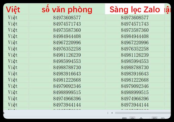 越南，色粉，男 以筛选活跃账户2400条测试
