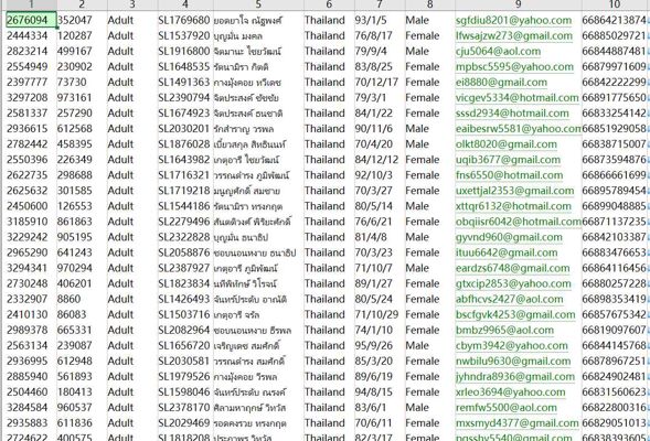 泰国航空泰国🇹🇭马印航空www_malindoair_com500W