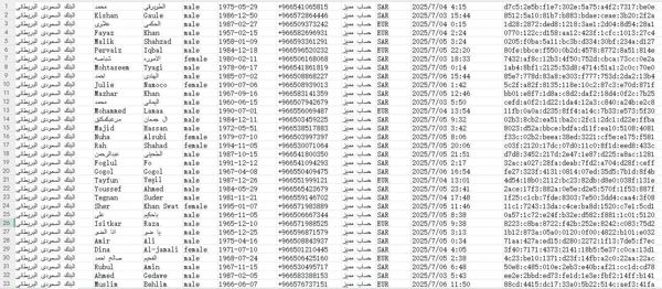 本站出售沙特法国银行高级账户数据，都是资金比较大的，级别比较高，不懂可以给我留言，懂的直接拍，格式见图，自动发货，无重复！