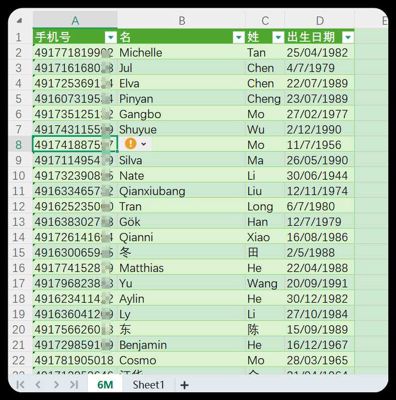 新到德国华侨-30268