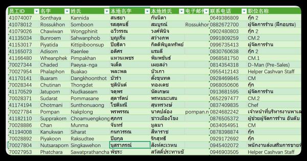 泰国在职高管，精英-2.8w电话，地址，部门，名字等