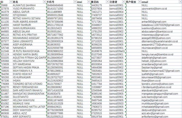 印度尼西亚-印尼BSI银行用户48万