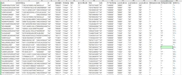 插入信息：姓名,性别称呼,地址,城市,州,邮政编码,市场经验,面板,首次交易记录,号码,性别,开户账号资金,出生年/部分0,出生月/部分0,出生日/部分0,周资金变动次数,月资金变动次数,信用评分