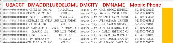 墨西哥Mexic高消费_WS已筛活跃账号_3196条