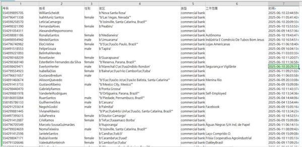 更新-巴西-CDB利亚银行-金融证劵理财投资等业务-（2025年6月）-260万条- 有需要可以尽快下单，购买后mega自动发货 数据格式请看下方截图