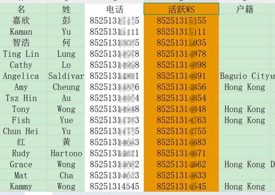 香港WS活跃用户5000+条
