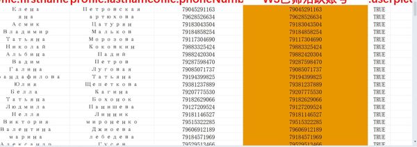 俄罗斯（Расія）_购物料_已筛WS活跃账号_1193条