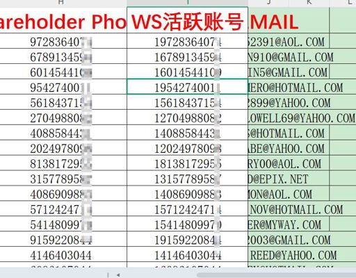 美国（USA）股票客户信息（Stock）_可过WS活跃_532条_3