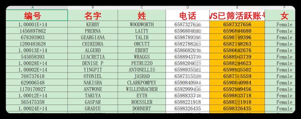 6月新加坡女车主含电话，WS，名字