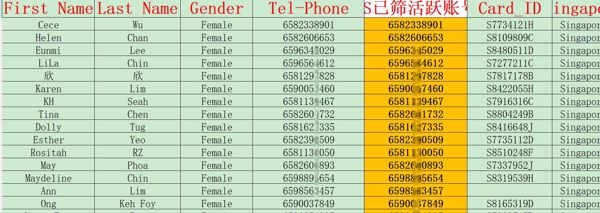 今年6月新加坡（Singapore）_女性_高收入群体_WS已筛活跃账号_12534条_