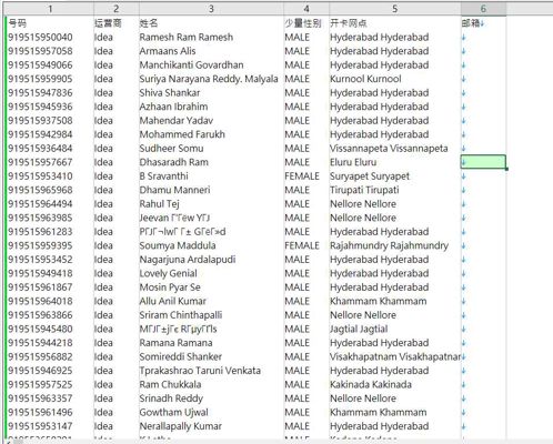 数据来源：https://www.vodafoneidea.com/
格式：号码,运营商,姓名,少量性别,开卡网点,邮箱