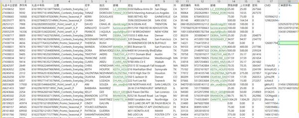 25年新出库-美国-礼品卡购买用户-（2025年6月）-40万条- 有需要可以尽快下单，购买后mega自动发货 数据格式请看下方截图