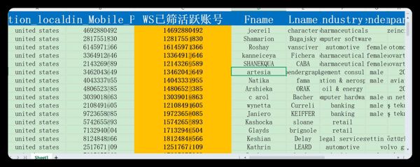 1_美国（linkedin）_领英Linkedin_WS已筛活跃账号_5001条