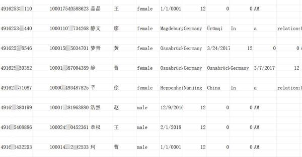 德国华侨1000条