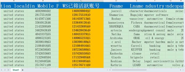 1_美国_WS已筛活跃账号_5001条