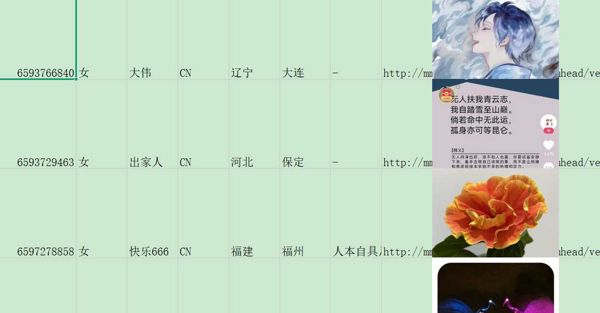 新加坡华侨 女，400+都有电话和微信