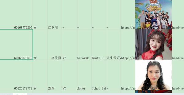 马来华侨.女 400xlsx带微信头像