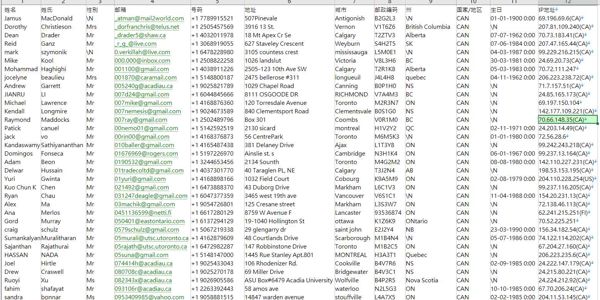 25年新出库-加拿大-金融投资支票外汇-（2025年5月）-16万条- 有需要可以尽快下单，购买后mega自动发货 数据格式请看下方截图