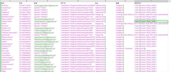 数据来源：https://pankhuri.co/
内容：姓名,号码,邮箱,用户名,地址,徽章,角色名称,json原格式