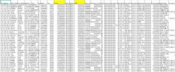 美国SSN社会保障数据99万