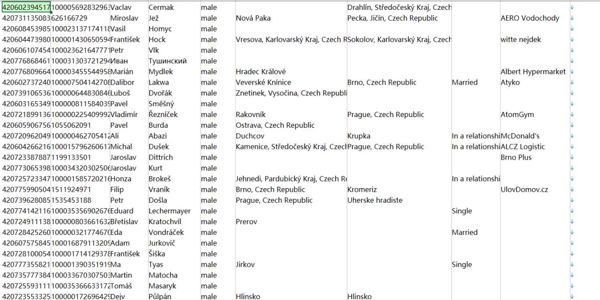 捷克共和国男性底料61万-已去重-格式细分电话，uid，姓名，性别，城市地址，婚姻状况等