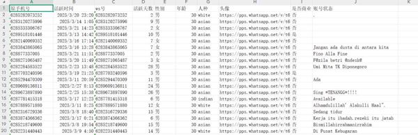 印尼/印度尼西亚男性女性年龄30岁以上72万过筛WS开通活跃库2-已去重