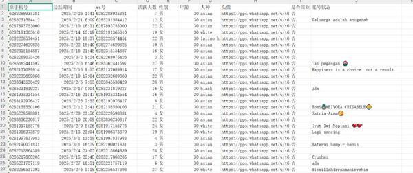 印尼/印度尼西亚男性女性年龄30岁以上100万过筛WS开通活跃库1-已去重