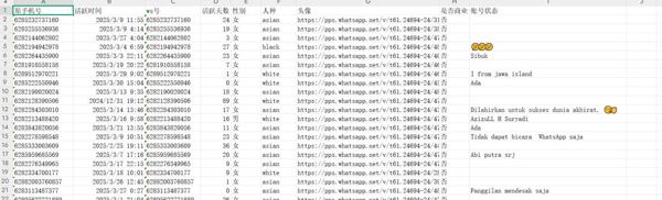 印尼最新男性女性3月份已过WS开通活跃时间95万-库4-已去重