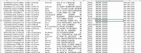 25年新出库-美国-投盈透证券 (IBKR) -投资理财-（2025年3月）-65万条- 有需要可以尽快下单，购买后mega自动发货 数据格式请看下方截图