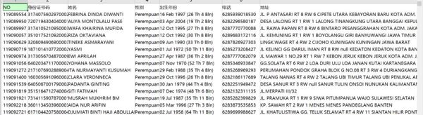 印度尼西亚公民女性带身份证五要素号码去重后209万-大部分都有WS开通