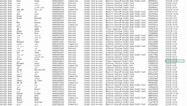 出库时间：3月14日 来源：沙特Alrajhi bank（阿拉吉银行），筛选高净值大额信用卡客户  总量57万（无重复）

本月一手最新数据，先买先用，具体格式可见下方截图

源头数据保真，持续更新，购买后MEGA自动发货，付款后请及时下载