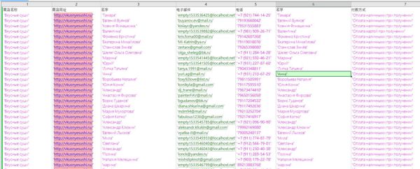 25年新出库-俄罗斯-高级寿司-高消费（2025年3月）-23万条- 有需要可以尽快下单，购买后mega自动发货 数据格式请看下方截图
