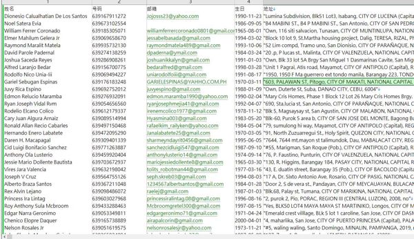 25年新出库-菲律宾 -高净值纯男性-高收入（2025年3月）-40万条- 有需要可以尽快下单，购买后mega自动发货 数据格式请看下方截图