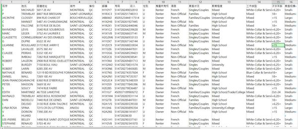 25年新出库-加拿大 -高净值-高收入（2025年3月）-80万条- 有需要可以尽快下单，购买后mega自动发货 数据格式请看下方截图