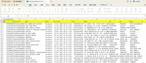 印尼公民数据带证五要素女性29万库3-大部分号码都有WhatsApp开通
