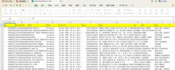 印尼公民数据带证五要素女性95万库2-大部分号码都有WhatsApp开通