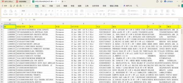 印尼公民数据带证五要素女性96万库1-大部分号码都有WhatsApp开通