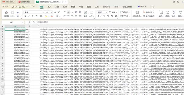 美国男性底料年龄25岁以上60万库3-大部分都带WhatsApp开通
