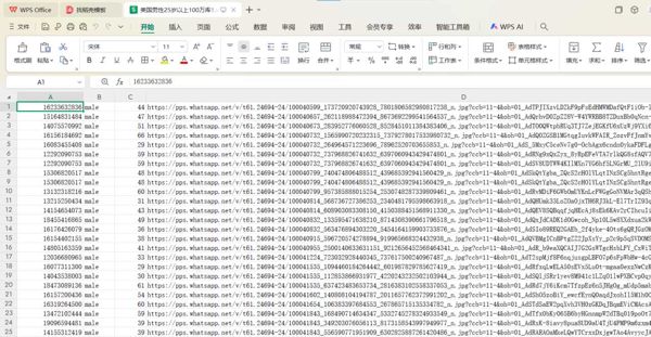 美国男性底料年龄25岁以上100万库1-大部分都有WhatsApp开通