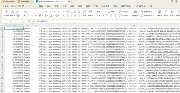 美国女性底料25岁以上88万-已去重-大部分都有WhatsApp开通