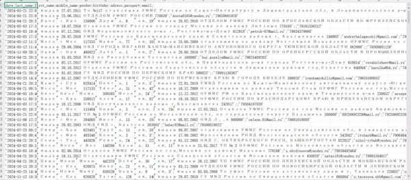 100万条俄罗斯公民出入境数据姓名手机号邮箱