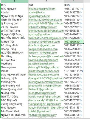 越南有钱人高净值人员12万
