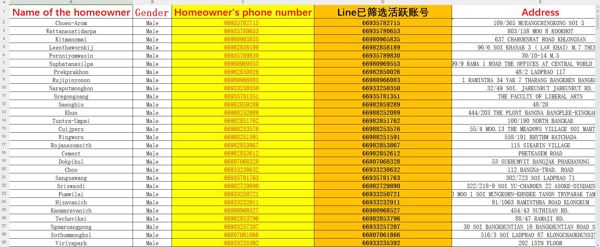 泰国（ประเทศไทย）房主_Line已筛活跃账号_5000条_测试