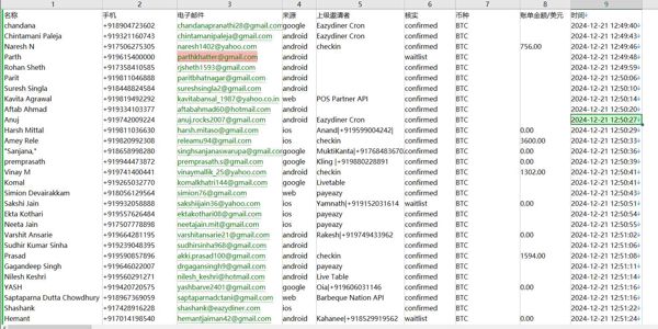 新库-印度-比特币投资者（2024年12月）-12万条- 有需要可以尽快下单，购买后mega自动发货 数据格式请看下方截图