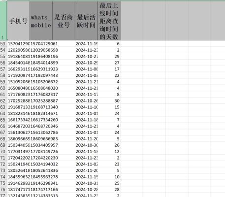 美国五星酒店过ws116k活跃