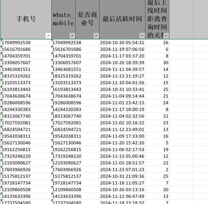 美国奢侈品过ws三十天内活跃93k