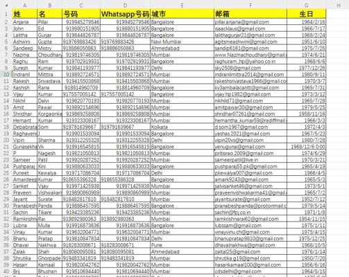 2024年-印度-酒店集团会员-39万条数据-有需要可以尽快下单，购买后mega自动发货 数据格式请看下方截图