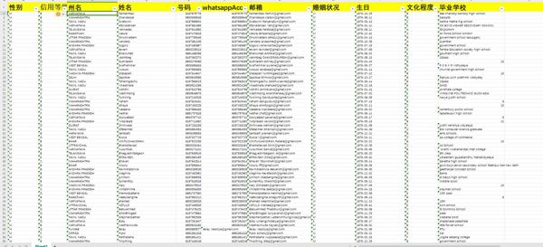 2024年-印度-富人区高资产人员-49万条数据-有需要可以尽快下单，购买后mega自动发货 数据格式请看下方截图